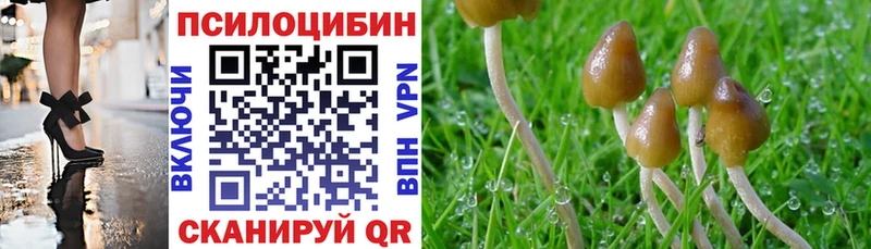 Галлюциногенные грибы Psilocybe  как найти закладки  Катав-Ивановск 